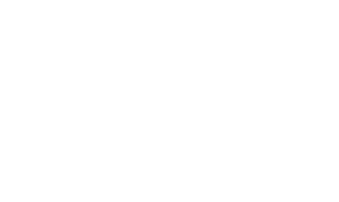 Signature Style Retina Logo